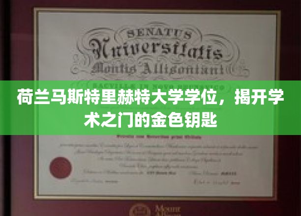 荷兰马斯特里赫特大学学位，开启学术殿堂的金钥匙