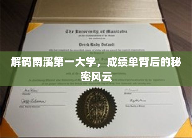 南溪学府之谜，揭开成绩单背后的风云传奇