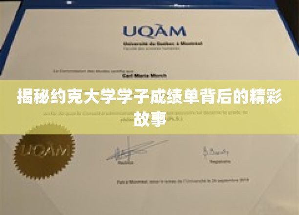 揭秘约克大学学子成绩单背后的精彩故事