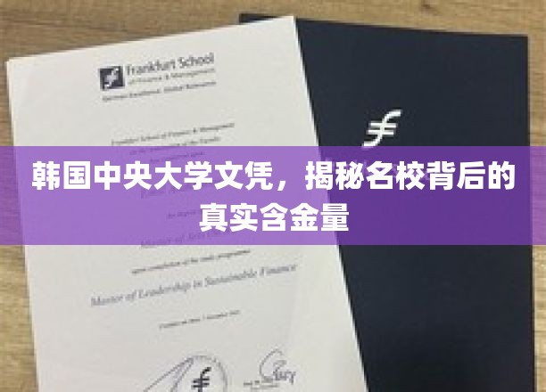 韩国中央大学学位探秘，名校光环下的实际价值解析