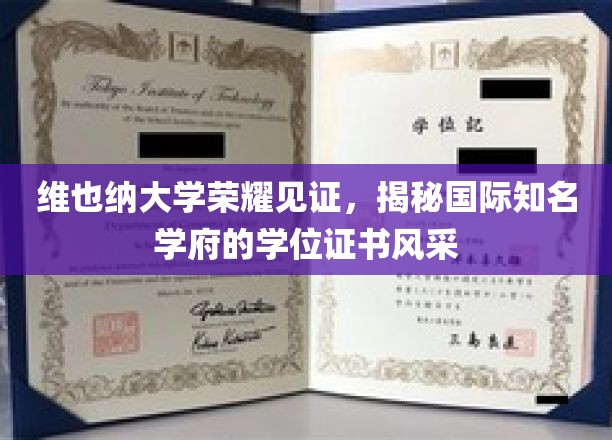 维也纳大学荣耀见证，一窥国际知名学府学位证书的风采