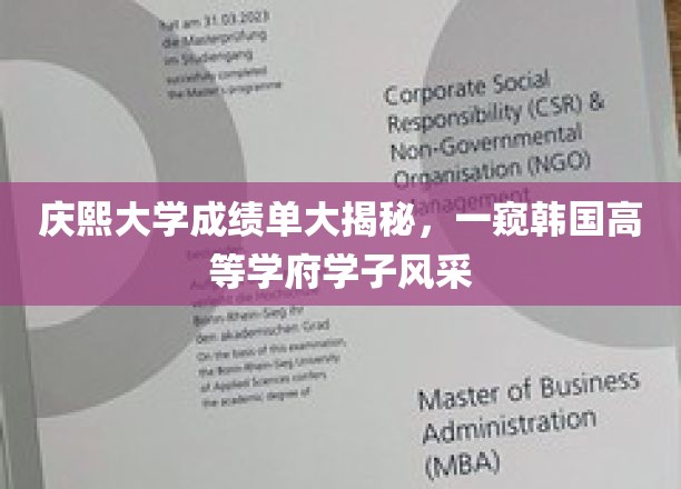 庆熙大学成绩单大揭秘，一瞥韩国高等学府学子风采