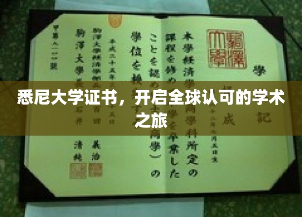国际通行证在手，悉尼大学证书引领未来学术航程
