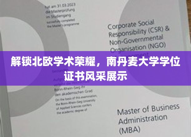 北欧学府璀璨名片，南丹麦大学学位证书魅力全解析