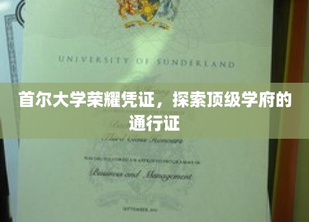 首尔大学荣耀凭证，解锁顶级学府的神秘通行证