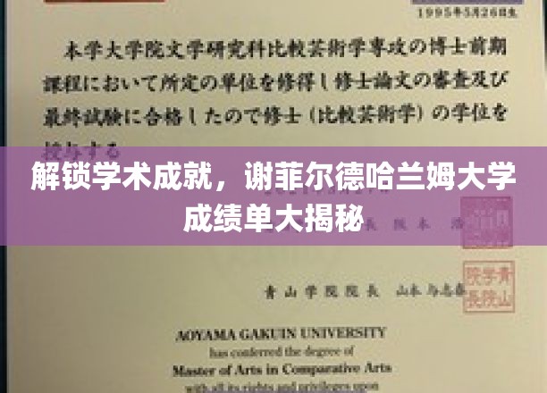 谢菲尔德哈兰姆大学成绩单背后，揭秘学术卓越的秘钥之旅