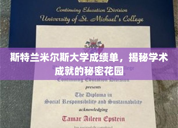 斯特兰米尔斯大学，探寻成绩单背后的学术奥秘乐园
