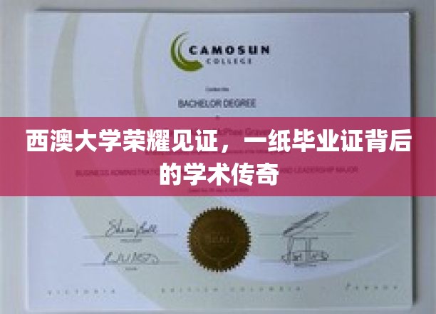 西澳荣耀印记，毕业证书背后的学术传奇之旅