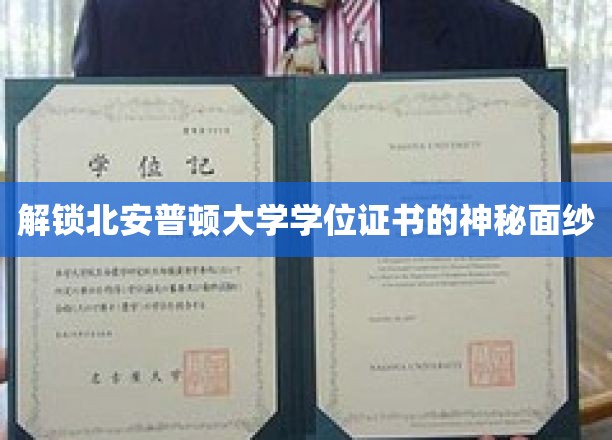 北安普顿大学学位证书的神秘面纱