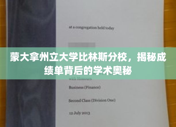 揭开蒙大拿州立大学比林斯分校成绩单的学术秘境