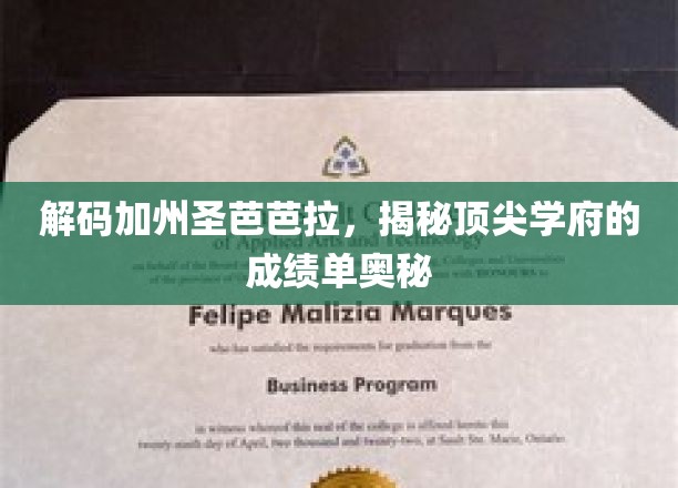 探寻圣芭芭拉名校背后的卓越成就之谜