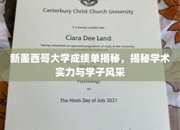 解码新墨西哥大学，学子风采与学术实力的双面映照