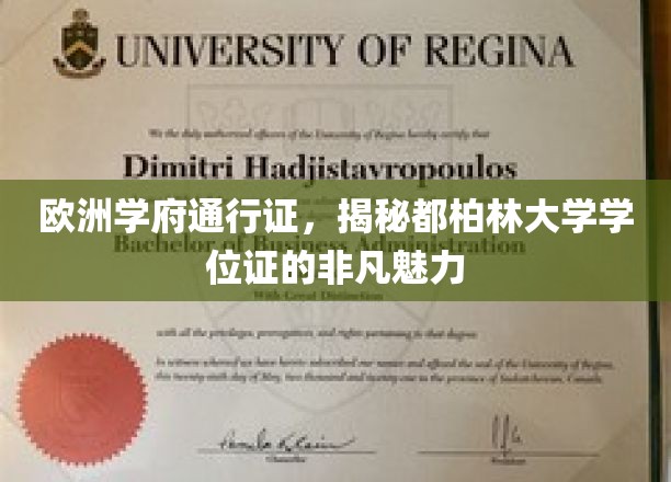 解锁都柏林大学学位证，欧洲学府的精英通行证魅力探秘