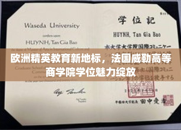 欧洲精英教育新地标，法国威勒高等商学院学位魅力绽放