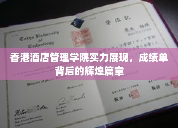 香港酒店管理学院实力展现，成绩单背后的辉煌篇章