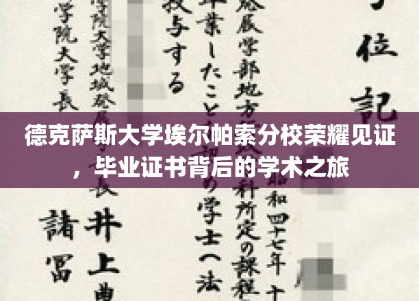 德克萨斯大学埃尔帕索分校荣耀见证，毕业证书背后的学术之旅