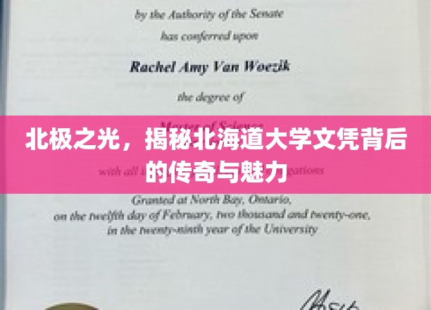 北海道大学文凭，探寻北极之光下的学术辉煌与独特魅力