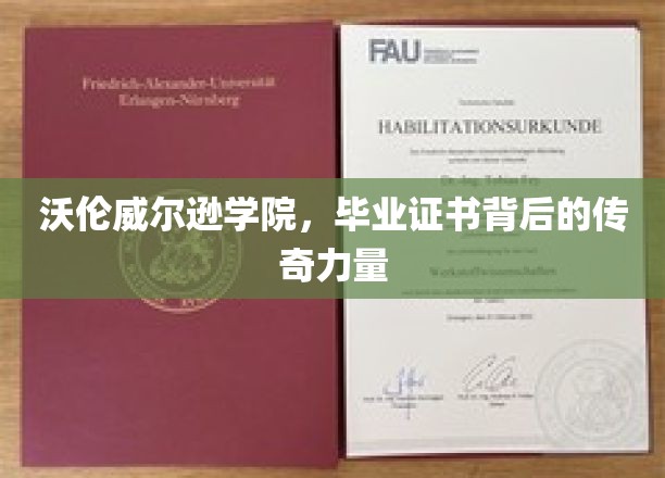 沃伦威尔逊学院，毕业证书背后的神秘魅力