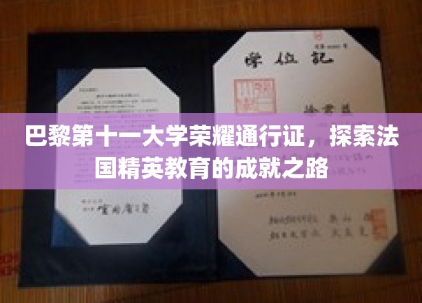 解锁巴黎第十一大学传奇，法国精英教育的璀璨足迹