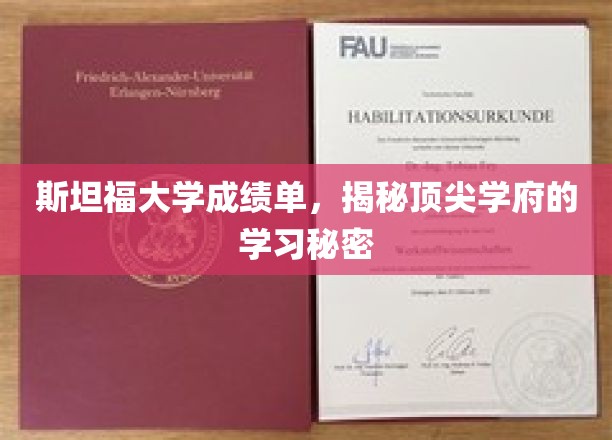 斯坦福学霸秘籍，一窥顶尖学府的学习秘境