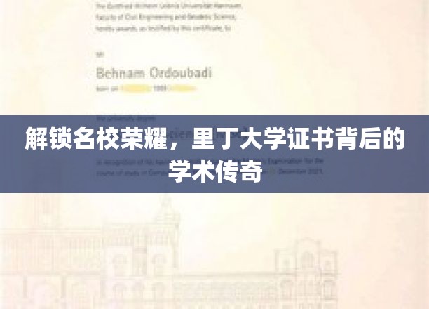 探寻里丁大学证书背后的璀璨学术奥秘