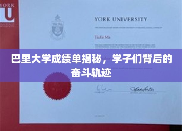 巴里大学成绩单揭秘，学子们背后的奋斗轨迹