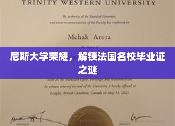 尼斯大学荣耀，解锁法国名校毕业证之谜