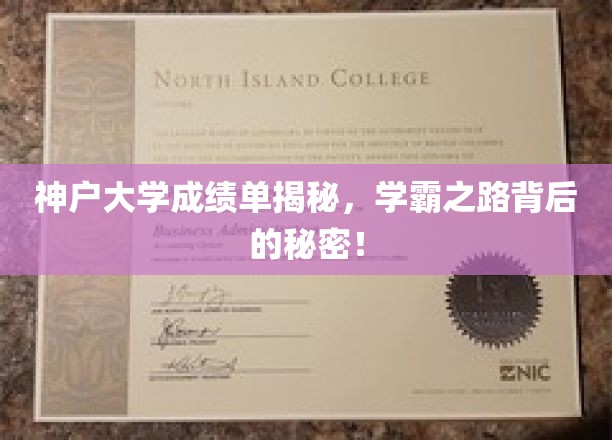 神户大学成绩单揭秘，学霸之路背后的秘密！