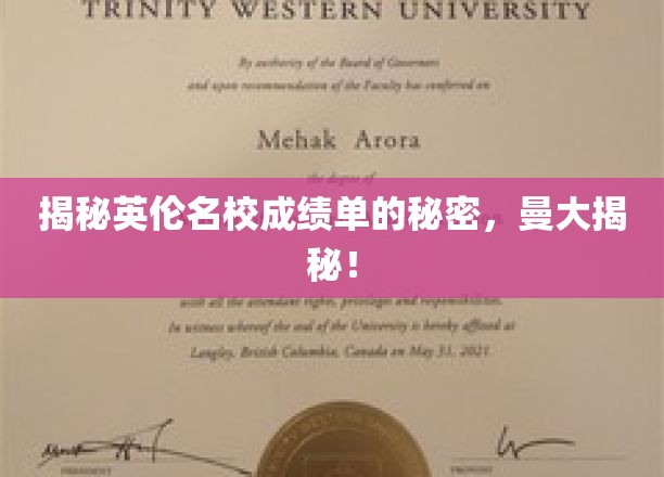 曼彻斯特大学：揭秘成绩单背后的秘密