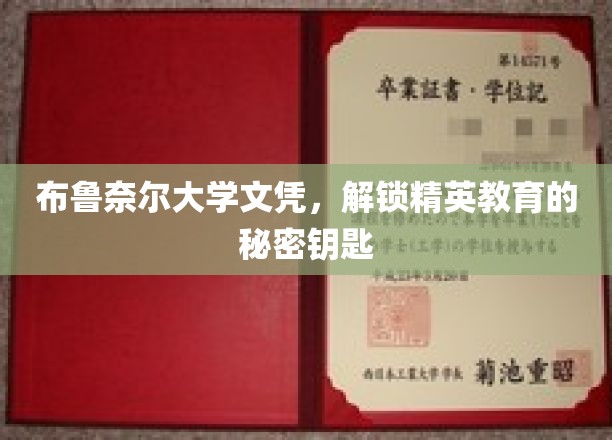 精英通行证，布鲁奈尔大学文凭的神秘魅力