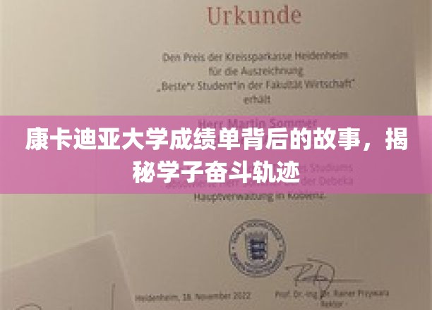康卡迪亚大学成绩单背后的故事，揭秘学子奋斗轨迹