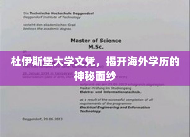 杜伊斯堡-埃森大学文凭，揭开海外学历的神秘面纱