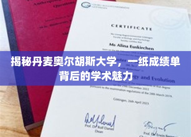 探索丹麦奥尔胡斯大学，一纸成绩单中的学术世界奇观