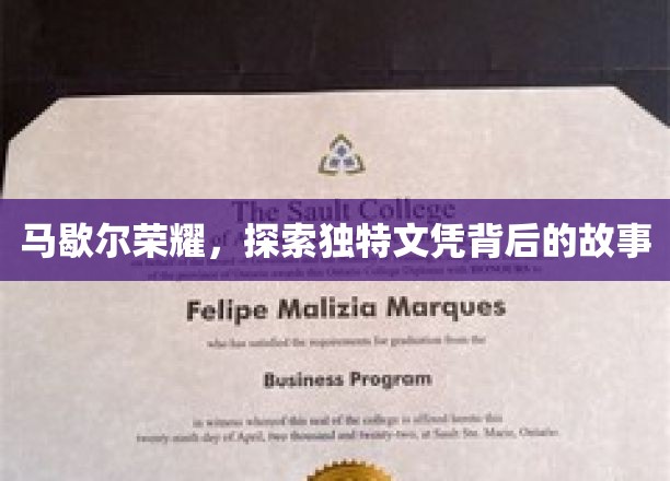 马歇尔荣耀之谜，揭秘独特文凭背后的传奇之旅