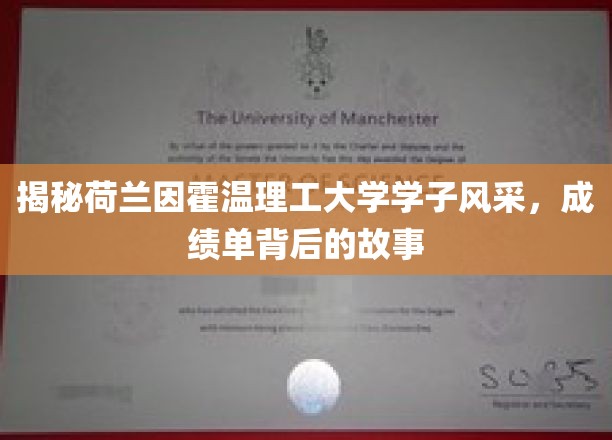 探寻荷兰因霍温理工大学学子的卓越之路，揭秘他们的成绩单背后传奇