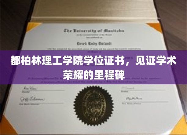 都柏林理工荣耀印记，学位证书承载的学术巅峰时刻