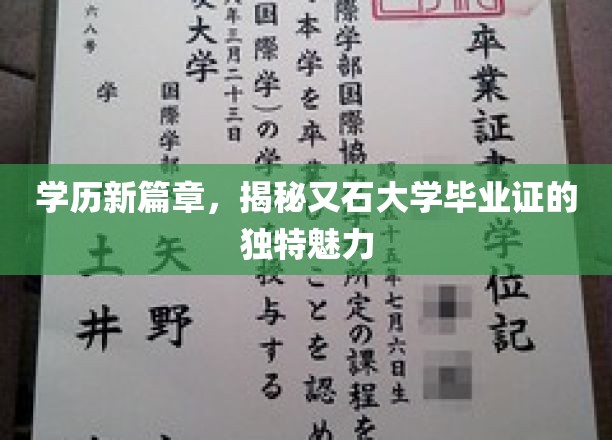 学历新视角，探索又石大学文凭的非凡价值