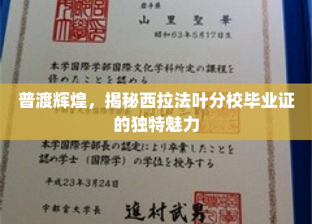 探寻西拉法叶分校毕业证的独特光芒与历史底蕴