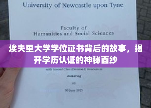 埃夫里大学证书之谜，探秘学历认证背后的真实世界