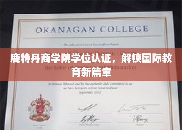 鹿特丹商学院学位认证引领全球教育新纪元