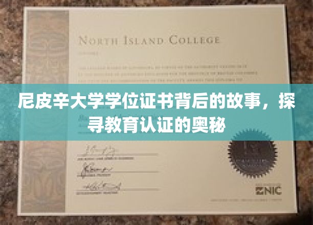尼皮辛大学证书之谜，揭秘现代教育认证的深层面纱