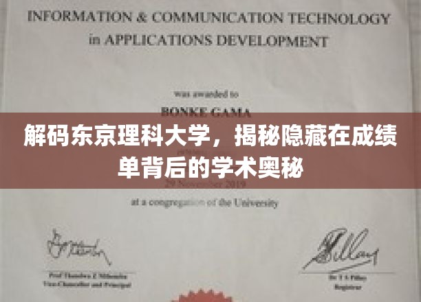 解锁东京理科大学，探寻成绩单背后的学术秘境