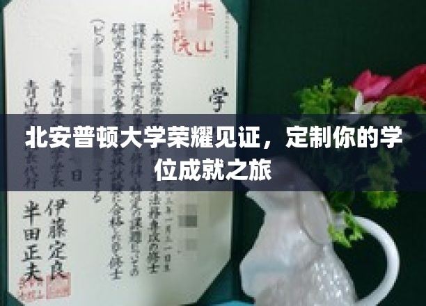 北安普顿荣耀学府，打造专属学位成就之旅