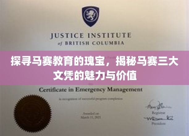 马赛文凭之光，揭秘三大文凭的教育魅力和价值所在