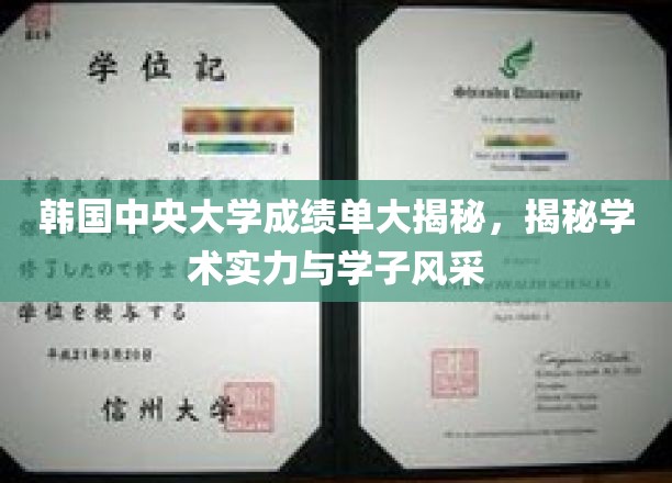 韩国中央大学成绩单背后的学术之光与青春风采