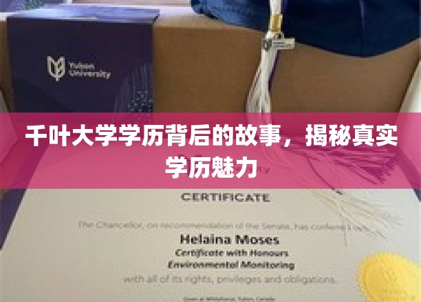 千叶大学学历背后的传奇，探寻学历的无穷魅力