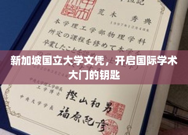 环球通行证，新加坡国立大学文凭，解锁全球学术舞台