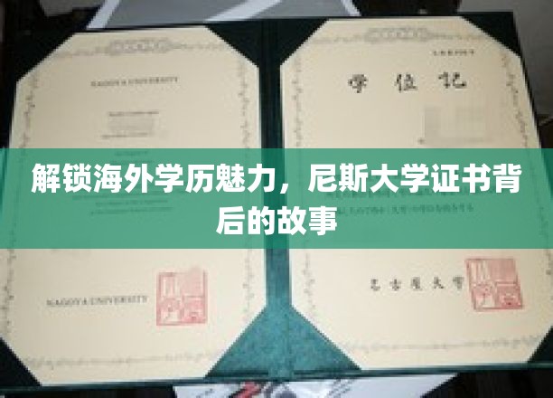 海外学历新篇章，尼斯大学证书的传奇之路