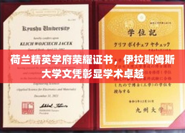 荷兰精英学府荣耀证书，伊拉斯姆斯大学文凭彰显学术卓越