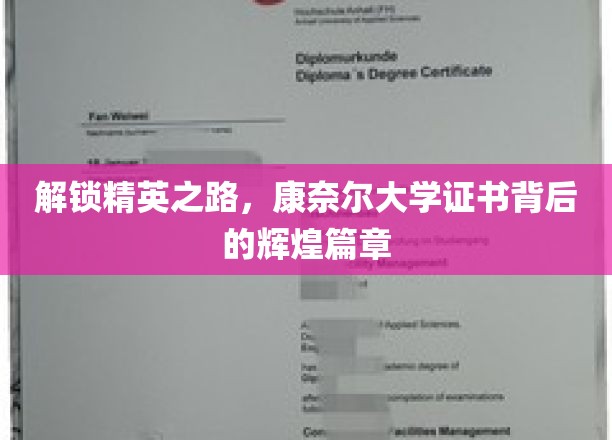 康奈尔精英成就解码，揭秘证书背后的璀璨传奇